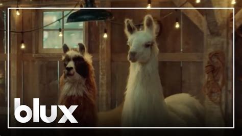 amazon llama song|amazon commercial mamacita.